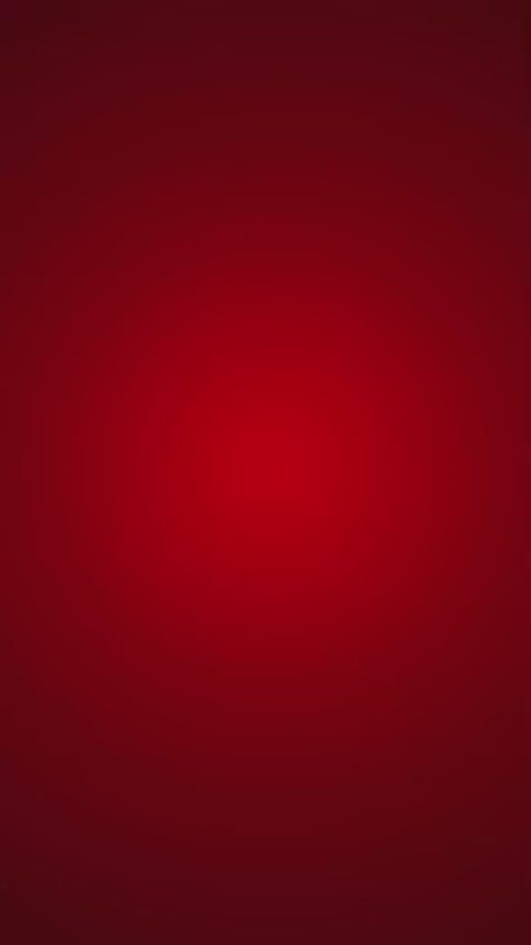 MAHAA Amaze Stainless Steel Kitchen Gift Set – Milk Boiler 2L + 4-Plate Idli Cooker + Bluebell Insulated Casserole 1500ml | Gas & Induction Compatible | 3-in-1 Functional Combo